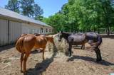 872 Paradise Cove Lane - Photo 35