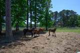 872 Paradise Cove Lane - Photo 42