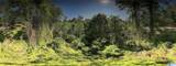 Off of Joe Brackett Road - Photo 4
