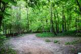 1678 Hays Cemetery Road - Photo 84