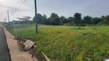 1505 Chaucer Street - Photo 3
