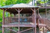 251 C-5 Pleasure Point Road - Photo 74