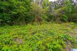 0 Spunky Hollow Road - Photo 18