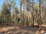 165 Queen Drive - Photo 8