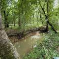0 Poplar Trail - Photo 1