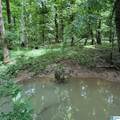0 Poplar Trail - Photo 12