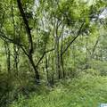 0 Poplar Trail - Photo 3