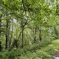 0 Poplar Trail - Photo 5
