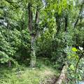 0 Poplar Trail - Photo 6
