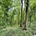 0 Poplar Trail - Photo 7