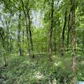 0 Poplar Trail - Photo 8
