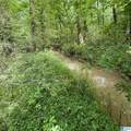 0 Poplar Trail - Photo 9