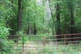 0 Wooten Road - Photo 3