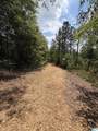 1755 County Road 19 - Photo 6