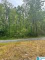 Lot 11 County Road 3902 - Photo 1