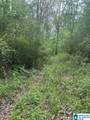 Lot 11 County Road 3902 - Photo 2