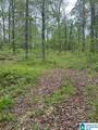 Lot 11 County Road 3902 - Photo 3