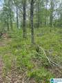 Lot 11 County Road 3902 - Photo 4