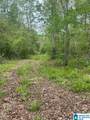 Lot 11 County Road 3902 - Photo 5
