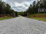 275 Heritage Pines Boulevard - Photo 11