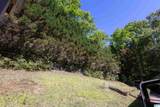 2559 Cook Springs Road - Photo 34