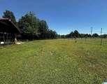 1700 Roundhill Road - Photo 12