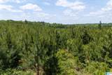 0 County Road 16 - Photo 21