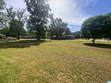 500 Patricia Lane - Photo 50