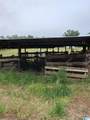 1991 Nixon Road - Photo 10