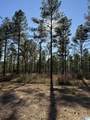 1233 Watts Road - Photo 3