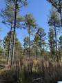 1233 Watts Road - Photo 5