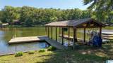 390 Coosa Island Road - Photo 36