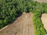 13 Acres County Road 175 - Photo 13