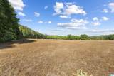 13 Acres County Road 175 - Photo 20