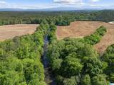 13 Acres County Road 175 - Photo 6