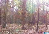00 Rolling Hills Lane - Photo 2