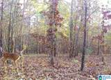 00 Rolling Hills Lane - Photo 3