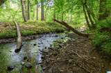 1352 County Road 185 - Photo 3