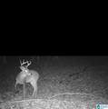 0 Gilmer Avenue - Photo 10