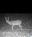 0 Gilmer Avenue - Photo 9