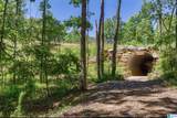 3117 Oakridge Way - Photo 5