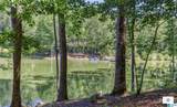 2031 Lindsay Lane - Photo 4