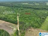  Jackson Farm Road - Photo 3
