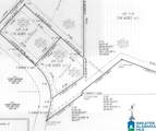12799 Woodland Lake Road - Photo 2