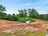 0 County Road 491 - Photo 3