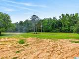 0 County Road 491 - Photo 4