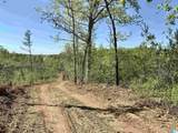 2-B Old Highway 431 - Photo 10