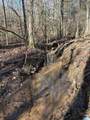 2-B Old Highway 431 - Photo 16
