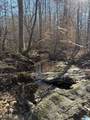 2-B Old Highway 431 - Photo 17