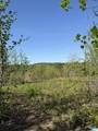 2-B Old Highway 431 - Photo 7